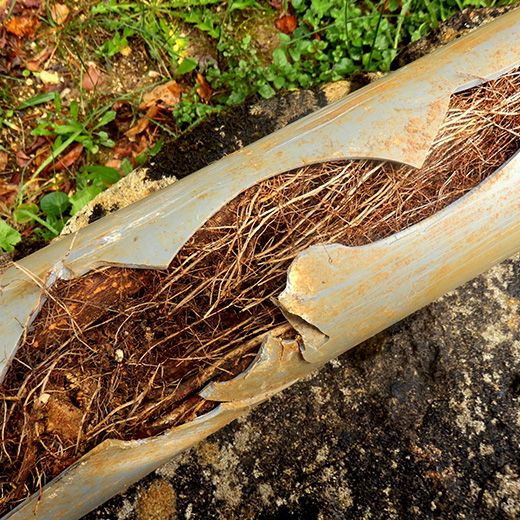 Same Day Drain Sewer & Rooter Pros Across Concord